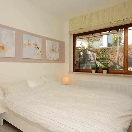 Collina D'oro C14 By Fewotessin Orselina