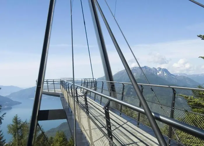 Collina D'oro C14 By Fewotessin