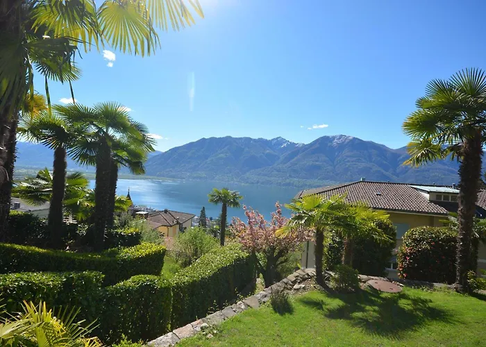 Collina D'oro C14 By Fewotessin *