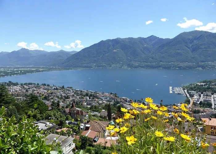 Collina D'oro C14 By Fewotessin