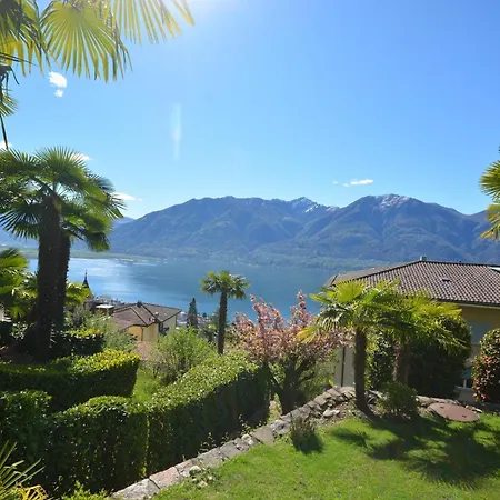 Collina D'oro C14 By Fewotessin *