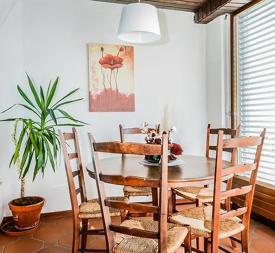 Collina D'Oro C14 By Fewotessin Orselina